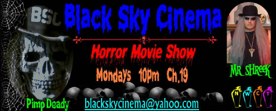 black_sky_cinema_2005_bizcard_site.jpg